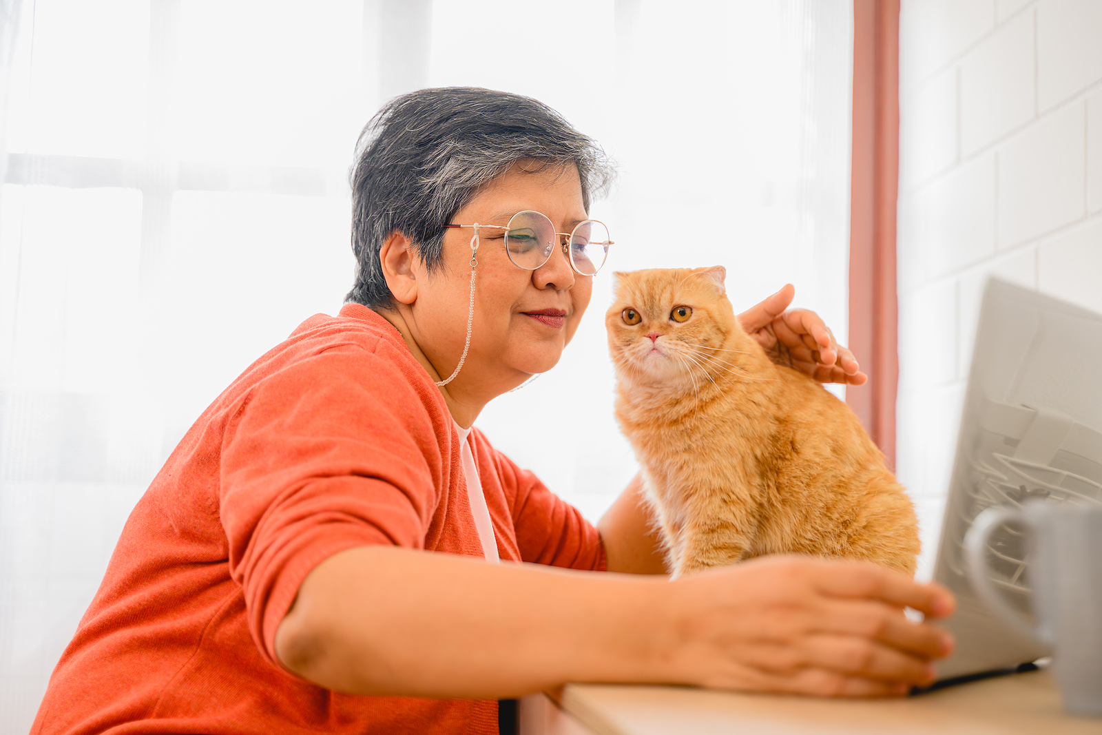Benefits of Having Cats for Seniors Integrity In Home Care Blog